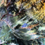 bs14005.jpg