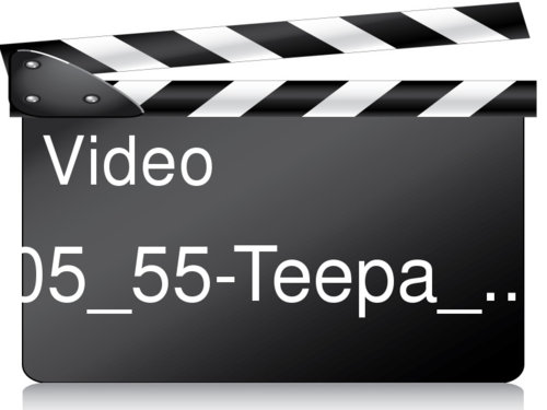 05_55-teepa_snow.jpg