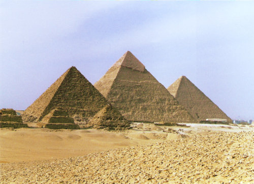 img6.jpg
