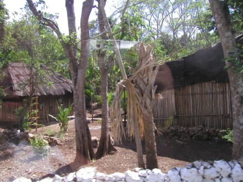 p1010009.jpg