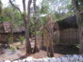 p1010009.jpg